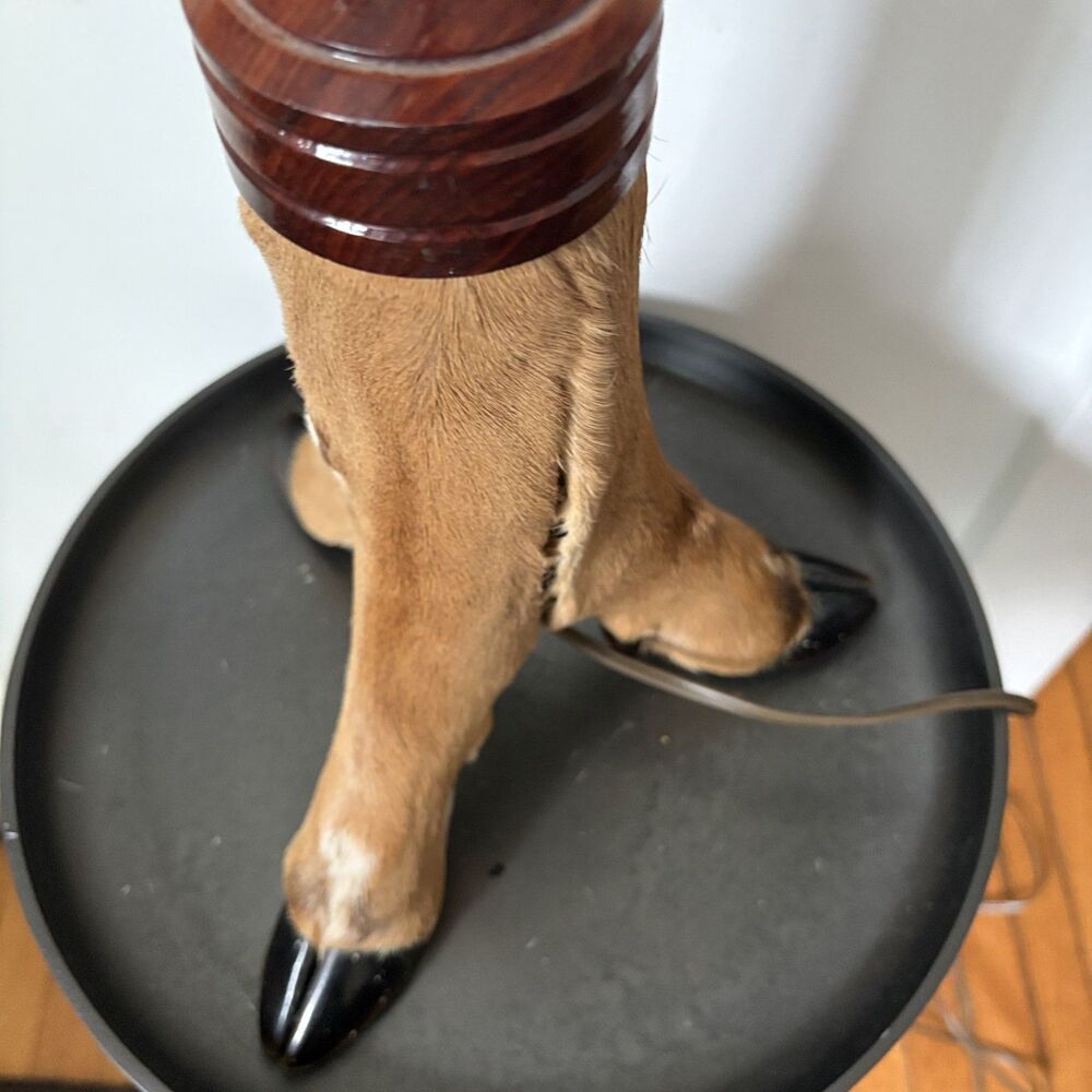 Vintage Taxidermy Deer Hoof Lamp 3 Leg Tripod Base Rustic Cabin Lodge Decor Work - Picture 6 of 13
